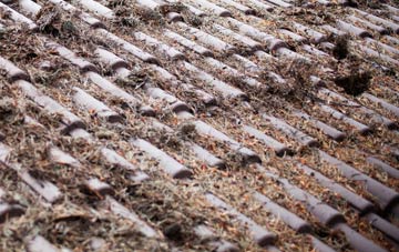 Hogaland roof cleaning companies