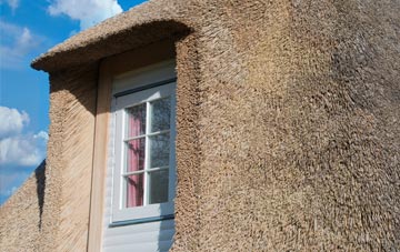 Hogaland thatch roof disadvantages