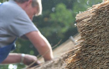 professional Hogaland thatchers