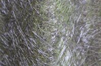 Hogaland fibreglass roof work